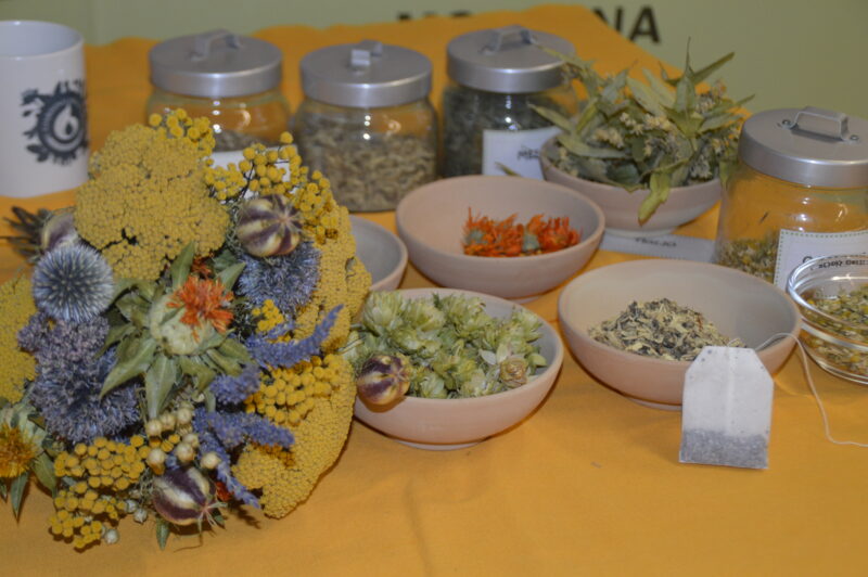 Eventi al Giardino delle Erbe